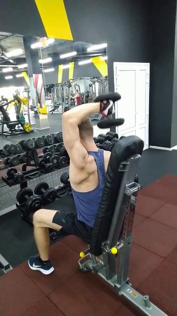 6.2 Разгибания из-за головы на трицепс L