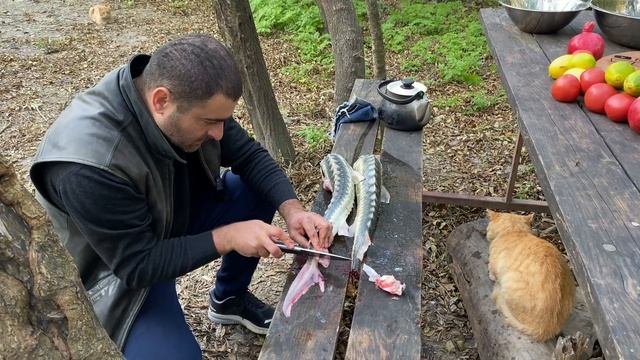 Sturgeon On The Coals | Grilled Sturgeon | Fish Dei ! смотреть онлайн
