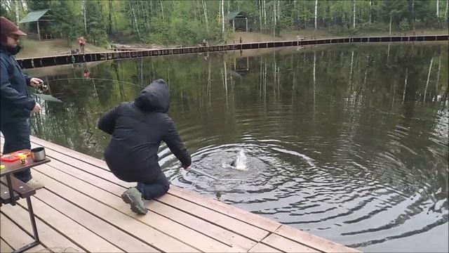 Работают бобриные хвосты. Клёвое место, Лосиный остров, спорт-зона.