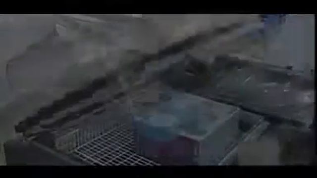 BSF5540 смотреть онлайн