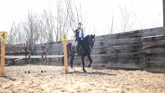 Конкурные тренировки смотреть онлайн