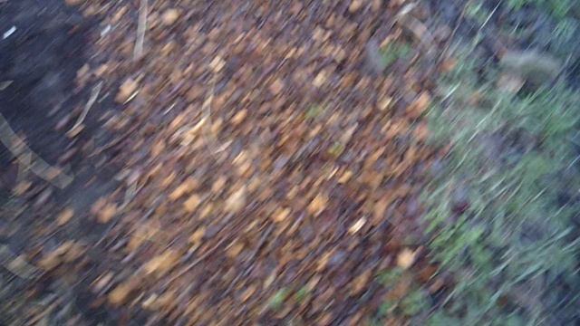 Прошёл дождик и простые дорожки стали скользкие, а укреплённая мульчей осталась безопасной