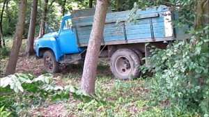 ГАЗ 52 в лісі За дровами