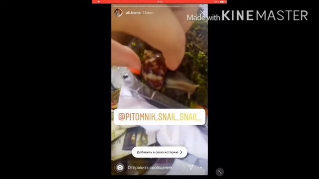 Отзыв моей посылки! смотреть онлайн