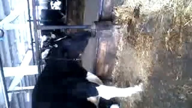 Бесплатный Курс по Увеличению Губ. смотреть онлайн