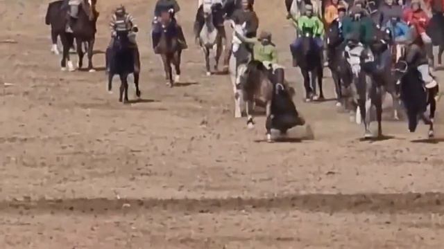 бузкаши нав дар ш хисор смотреть онлайн