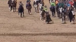 бузкаши нав дар ш хисор