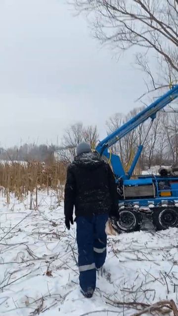 Берег Волги и камыши смотреть онлайн