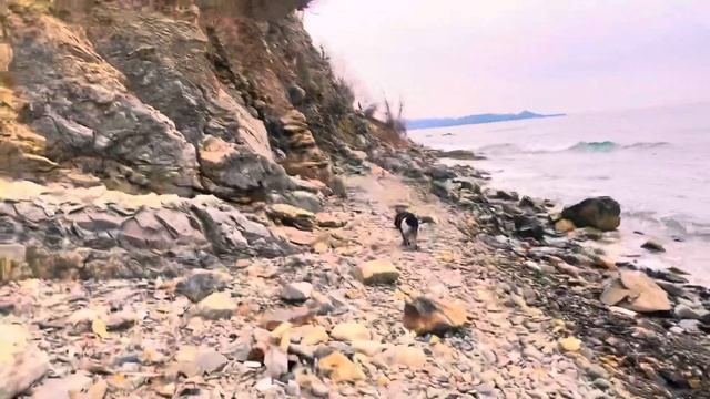 Путешествие с собакой на море. ДЖУБГА смотреть онлайн