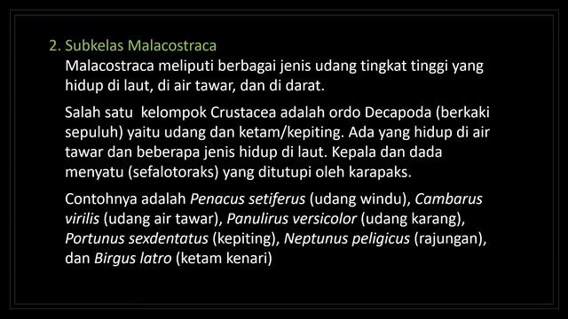 FILUM ARTHROPODA смотреть онлайн