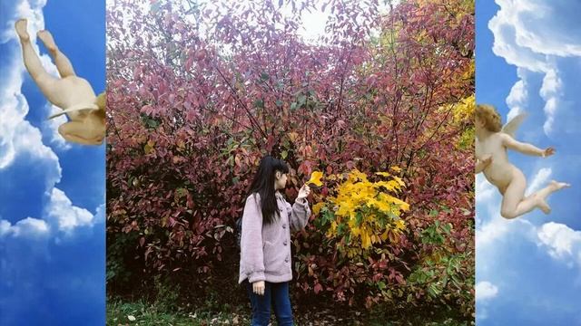 Диана Анкудинова.Иду в поход. смотреть онлайн