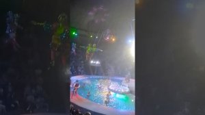 цирк на воде Тверь