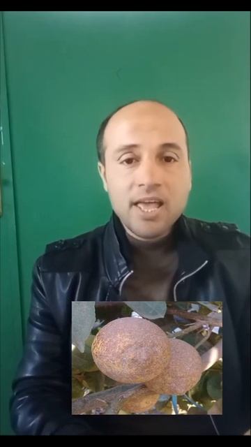 معلومة زراعية 3 ... الحشرة القشرية #agri смотреть онлайн