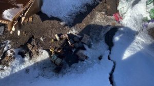 Поход на свалку или деньги из мусора. Витёк мусорщик