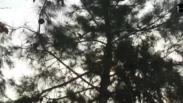 Bu biznesni qilib 2 yilda Spark sotib olsansangiz bo'ladi смотреть онлайн