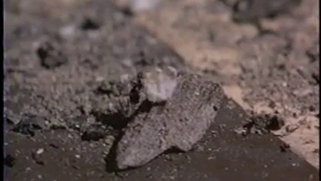 Scent of Green Papaya Mui Ant смотреть онлайн