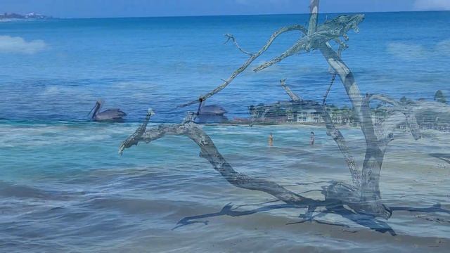 Paradisus Varadero Resort Cuba 2023 смотреть онлайн