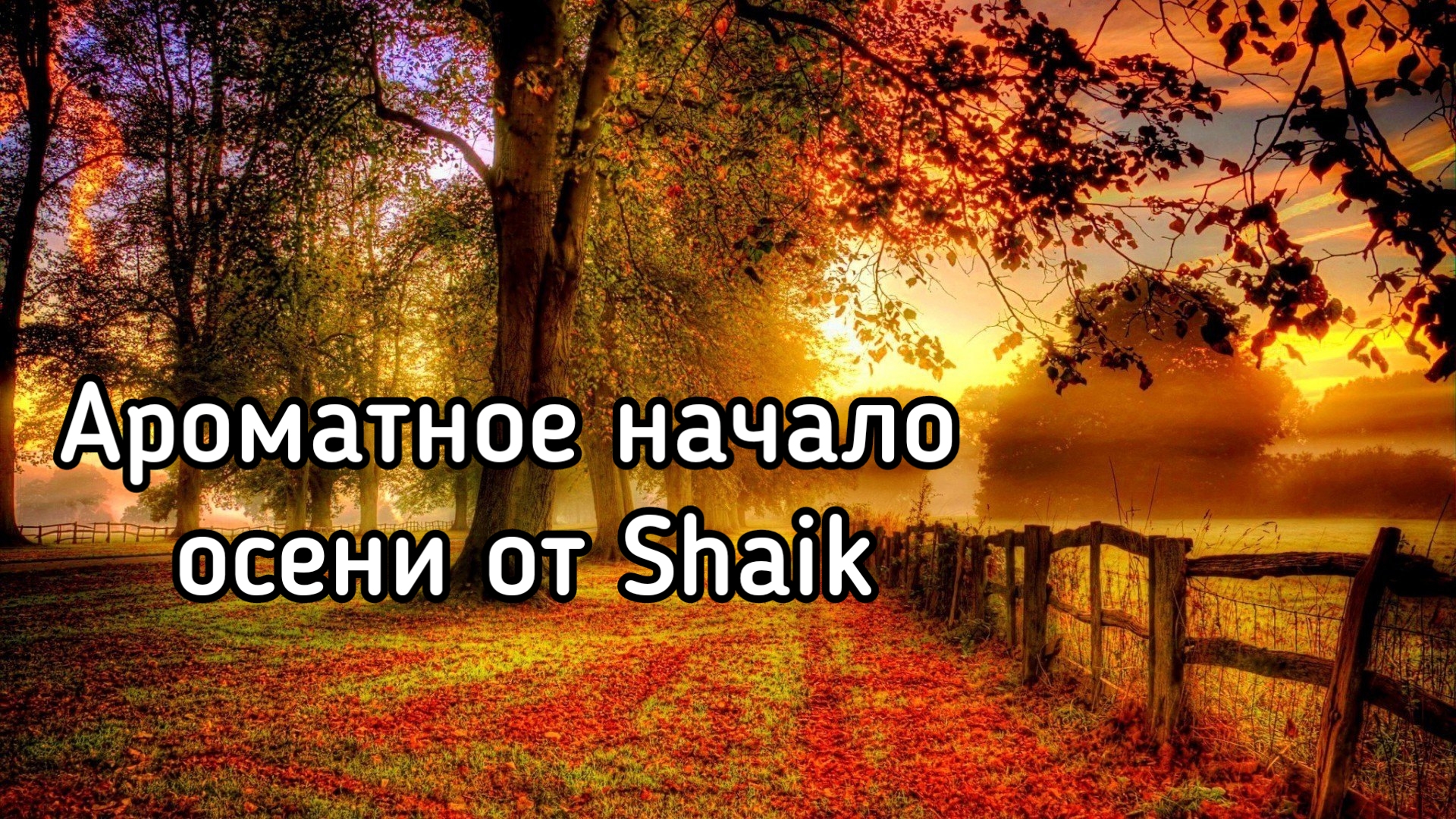 Ароматная осень от Shaik