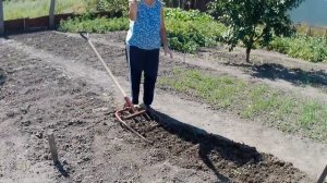 Чудо лопата,которая сама копает.