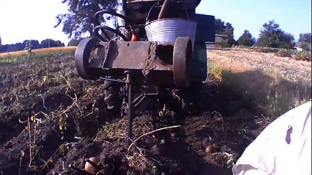 Копання картоплі 2021 смотреть онлайн