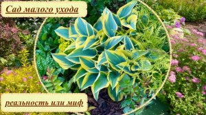 Малоуходный или ленивый сад. Реальность или миф. Опыт и ошибки. Ухоженный сад без особых хлопот.