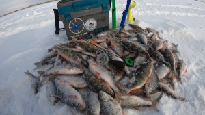 ПОСЛЕДНИЙ ЛЁД! ОТРЫВ ПО ПЛОТВЕ! ОКУНЕЙ НАШЛИ ПОД ВЕЧЕР, но половить мне их не дали. ЗАКРЫТИЕ СЕЗОНА