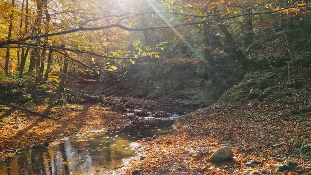 Классическая музыка расслабляет душу и сердце - Моцарт, Шопен, Чайковский, Рахманинов, Бах #86 смотреть онлайн