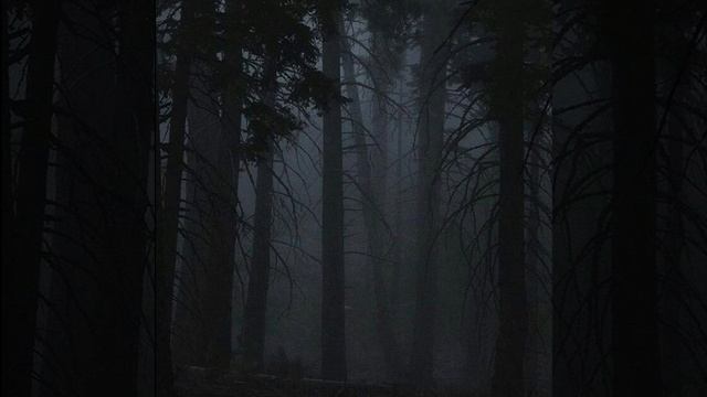 i was only temporary (Super Slowed) смотреть онлайн