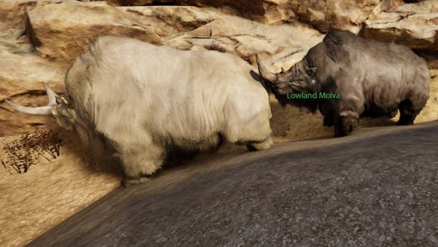 Mortal Online 2 Artic Molva