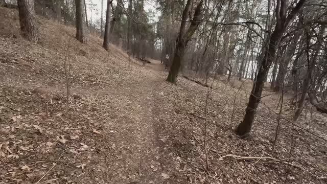 Продолжаем разведку набережной в Тимоново.Выехали на затерянную в лесу дорогу.Куда она приведет нас? смотреть онлайн