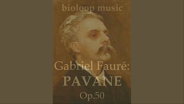 Gabriel Fauré: PAVANE Op. 50 | Elody flute (electric recorder) & guitar смотреть онлайн