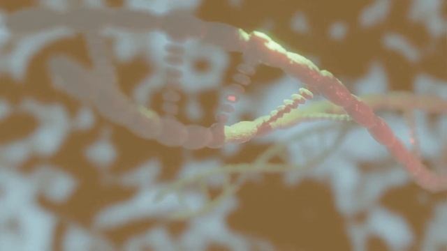 ARN Simulation in Blender 2.82 смотреть онлайн