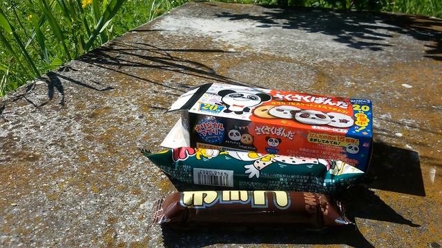 #3 GiappoNESE Time: Assaggiamo insieme snack GiappoNESI da Candysan col mio Ragazzo!!! Panda!!! смотреть онлайн