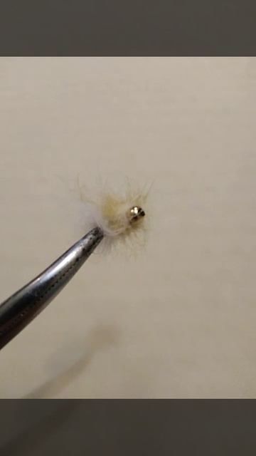 Хлебная муха на карася