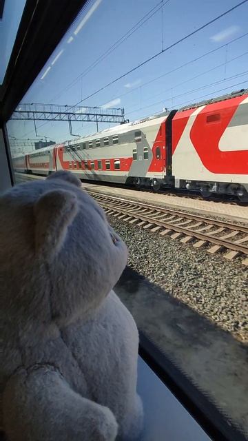 Кот пухляш с вб, тут про него Https://dzen.ru/readtotheend?share_to=link