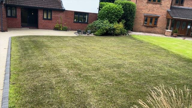 I set myself a 14 DAY LAWN CHALLENGE and blew it out of the water смотреть онлайн