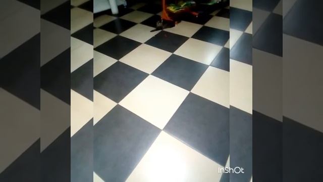 Пьяная кошка смотреть онлайн