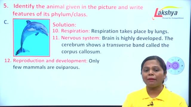 FYJC Revision Session | Kingdom Animalia I BIOLOGY | 7PM смотреть онлайн