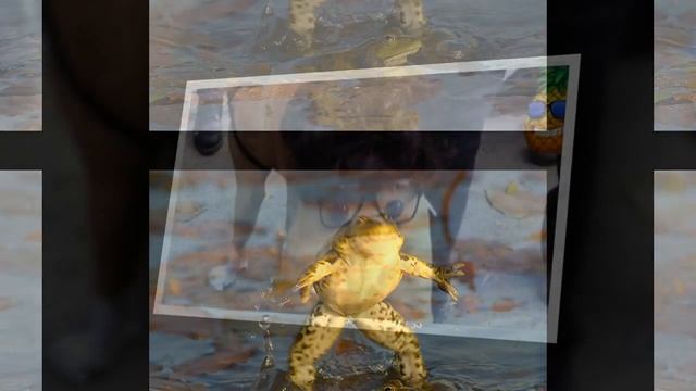 УЛЫБНИСЬ ДЕТЯМ ДО 16 ЛЕТ СТРОГО ЗАПРЕЩАЕТСЯ смотреть онлайн