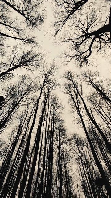 Лови момент