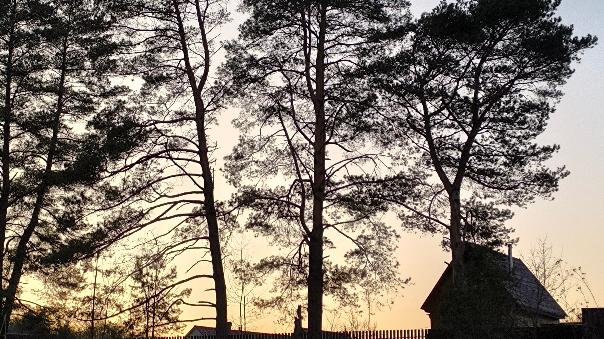 У мамы в деревне! Февраль.