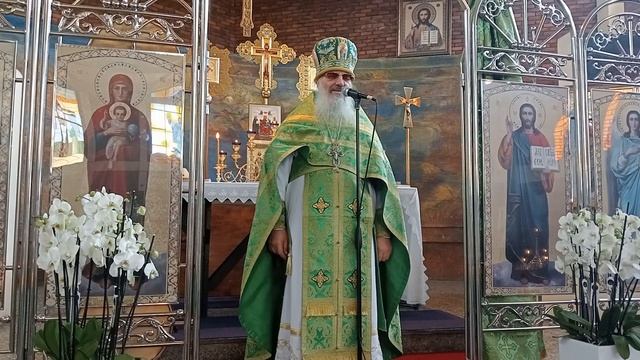 Проповедь на Божественной Литургии Лазаревой Субботы смотреть онлайн