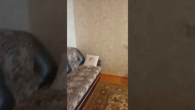 WhatsApp Video 2025-04-01 At 10.54.27