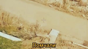 Отсиделся - ужалил!