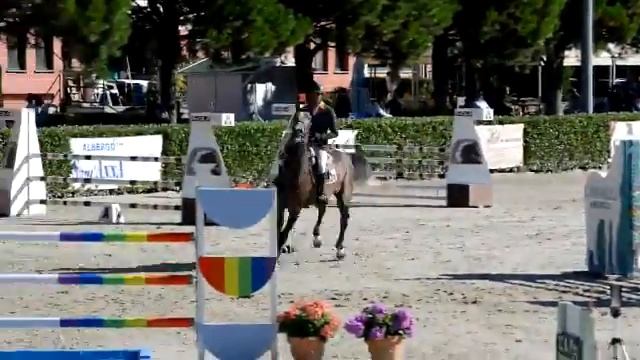 Euro Horse Jumping: Fire Fox E.H. - 6 yo gelding by Forever Jump x Colman - 130 Equieffe 03.09.2017 смотреть онлайн
