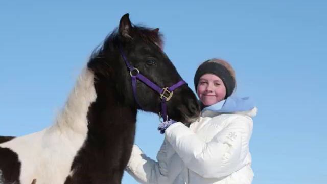 Hendrik's Shadow Dancer - Friesian/Chincoteague Pony Cross Gelding смотреть онлайн