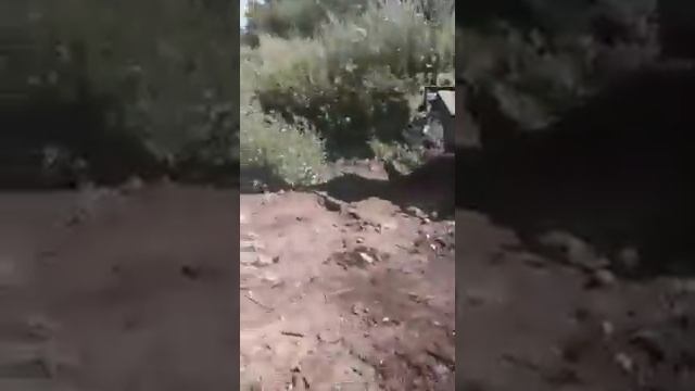 Хромой Экскаватор. смотреть онлайн