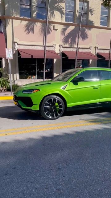 BEAUTIFUL SLIME GREEN URUS S 🐍 смотреть онлайн