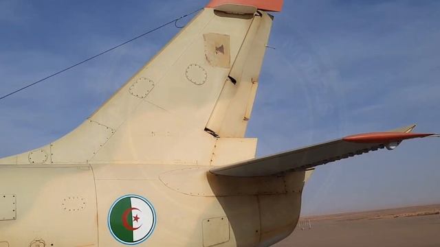 L-39 ZA Walkaround ALGERIAN AIR FORCE смотреть онлайн