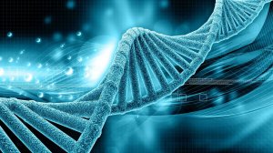 Матрица здоровья, восстановления и защиты сознания. Пётр Петрович Гаряев.